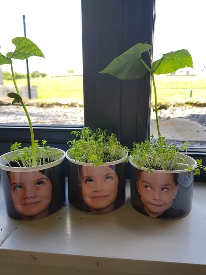 Growing hair - María Jesús Sanhueza Sepúlveda